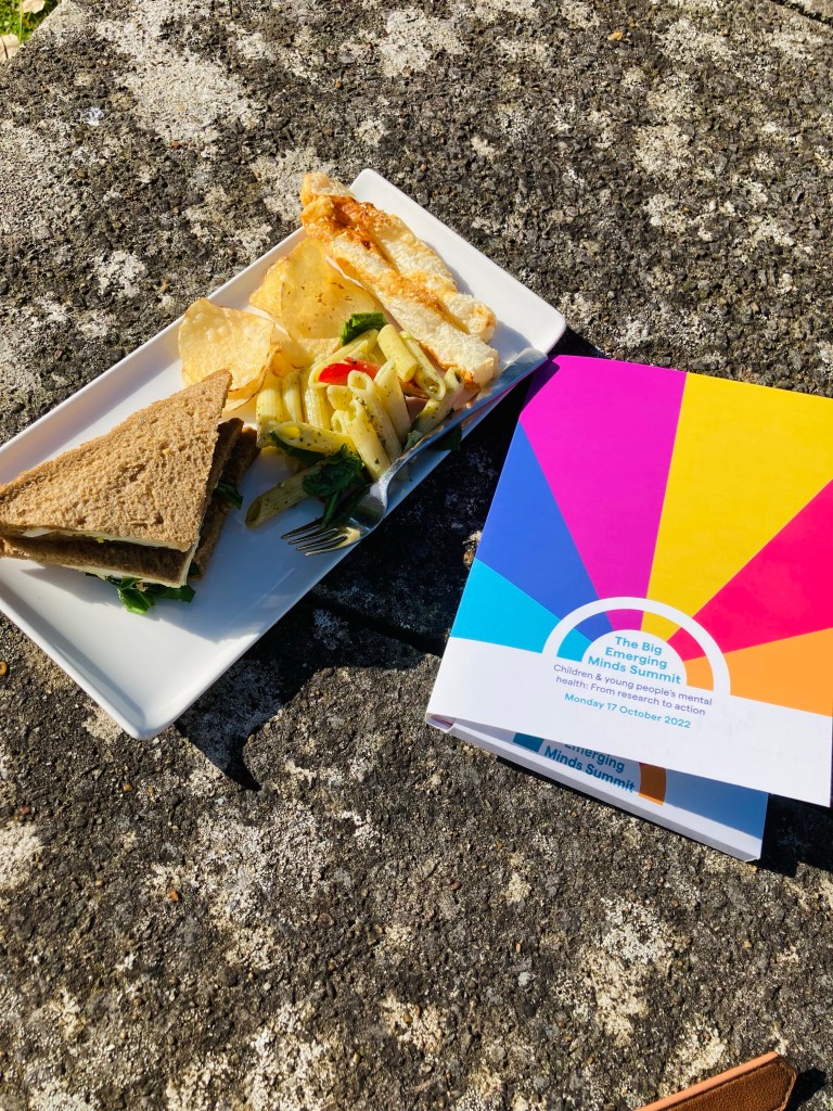 A rectangular plate with crisps, pasta and a sandwich with a fork, placed next to a colourful pack branded with the Big Emerging Minds Summit.